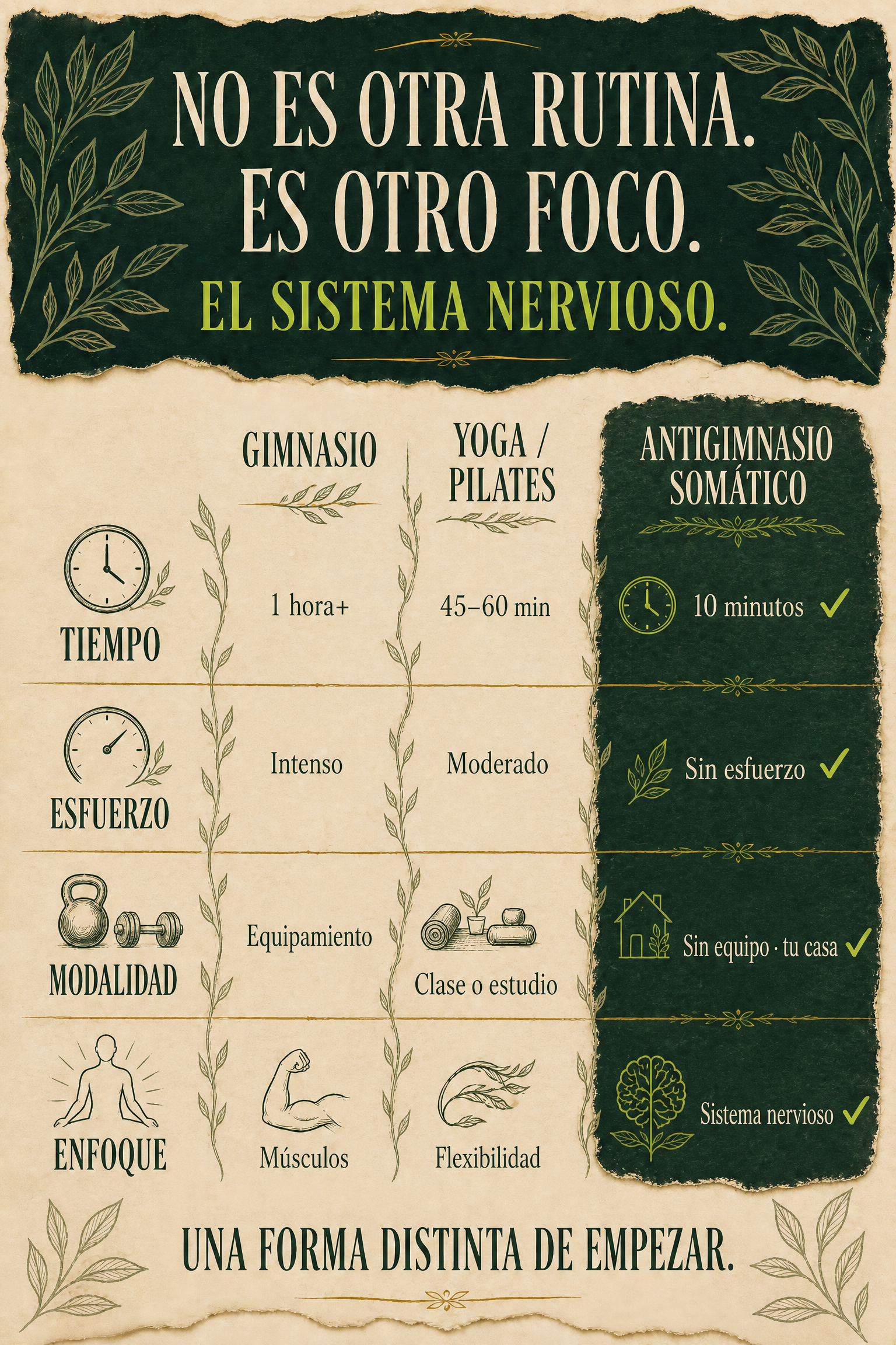 Comparativa entre gimnasio, yoga, pilates y Antigimnasio Somático